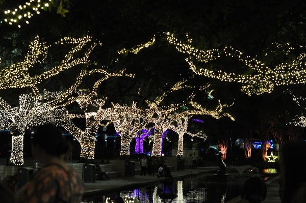 Beat the Crowds & Save Money at Houston’s Favorite Zoo Lights! November ...